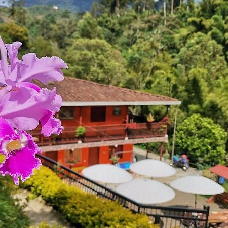 Hotel Orillas del Pizano Jardín Exterior foto