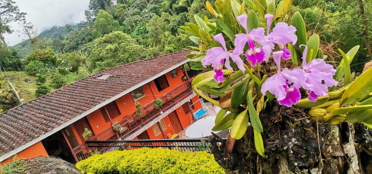 Hotel Orillas del Pizano Jardín Exterior foto