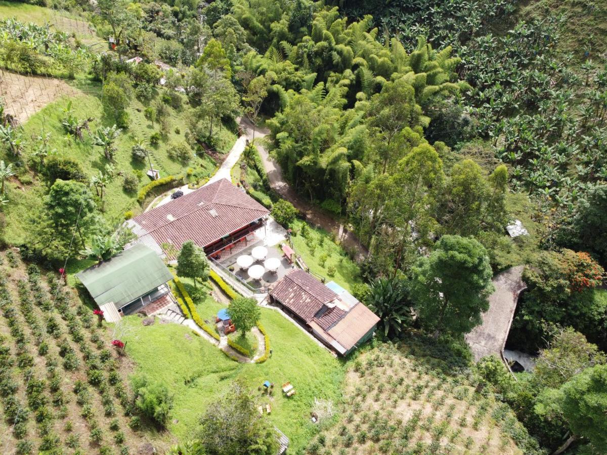 Hotel Orillas del Pizano Jardín Exterior foto