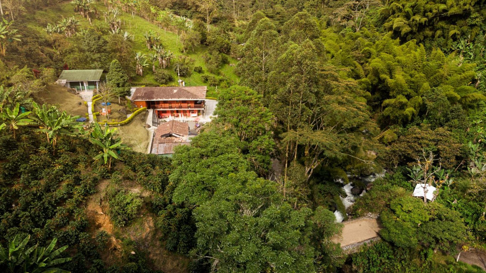 Hotel Orillas del Pizano Jardín Exterior foto