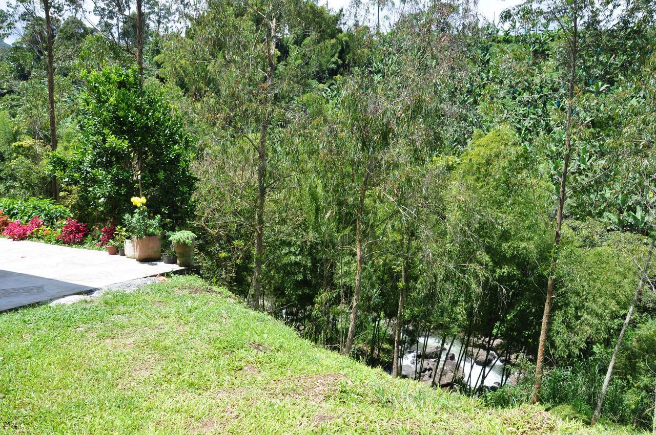 Hotel Orillas del Pizano Jardín Exterior foto